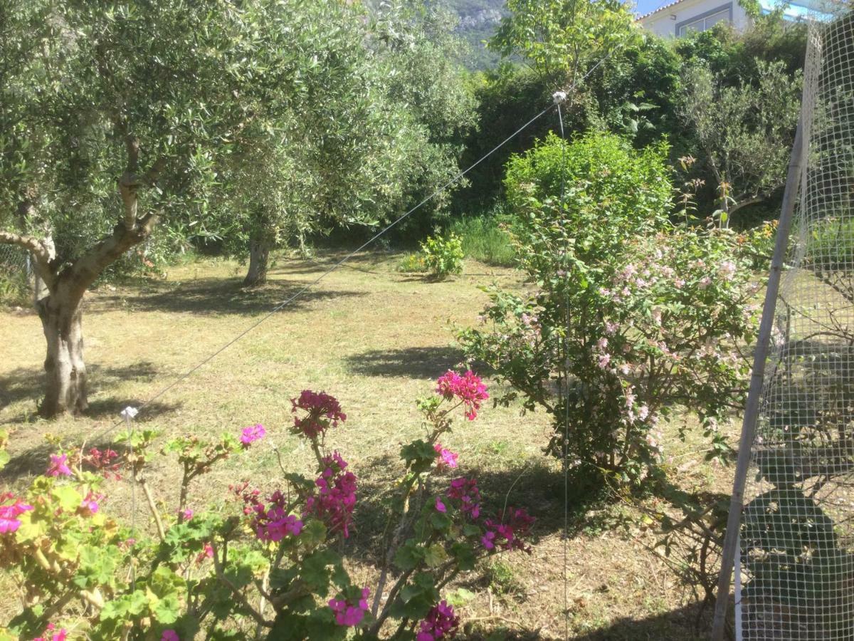 The Cabin, Kyparissia Exterior photo